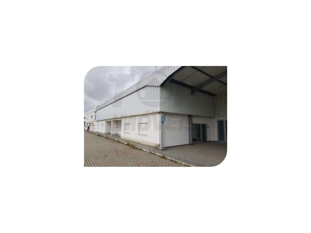 Edifício Industrial - Muge - 1.350.000€ - Grande imagem: 2/20