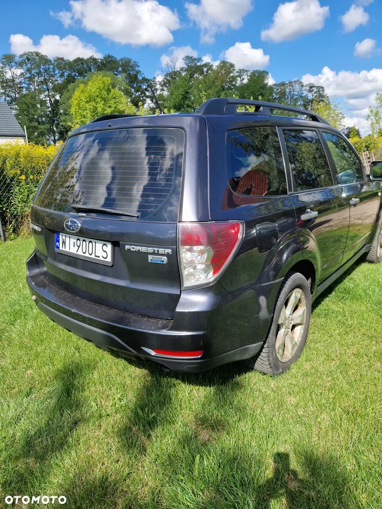 Subaru Forester - 1