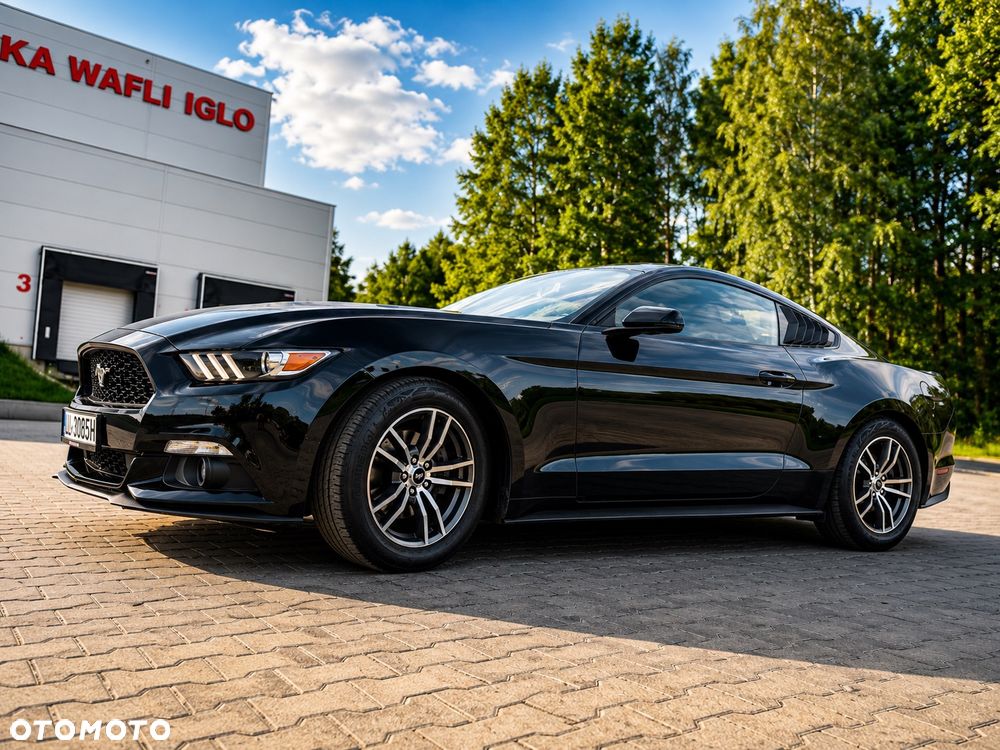 Ford Mustang - 6