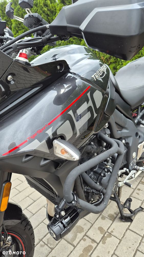 Triumph Tiger - 31
