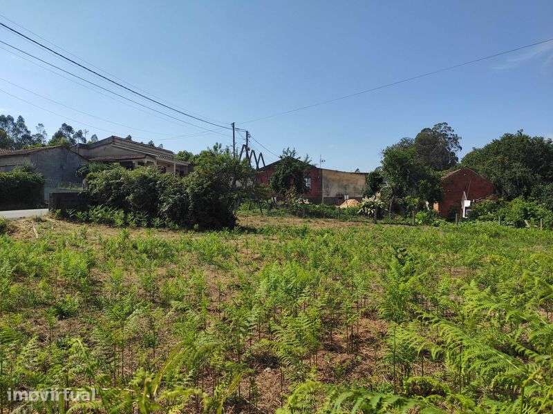 Terreno Urbano 3.400 m² a 20 minutos de Aveiro - Grande imagem: 4/11