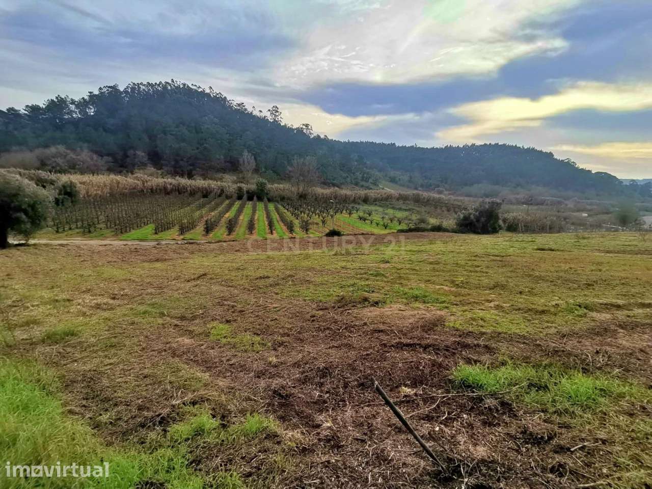 Terreno Urbano em Alfeizerão, Alcobaça - Grande imagem: 2/11