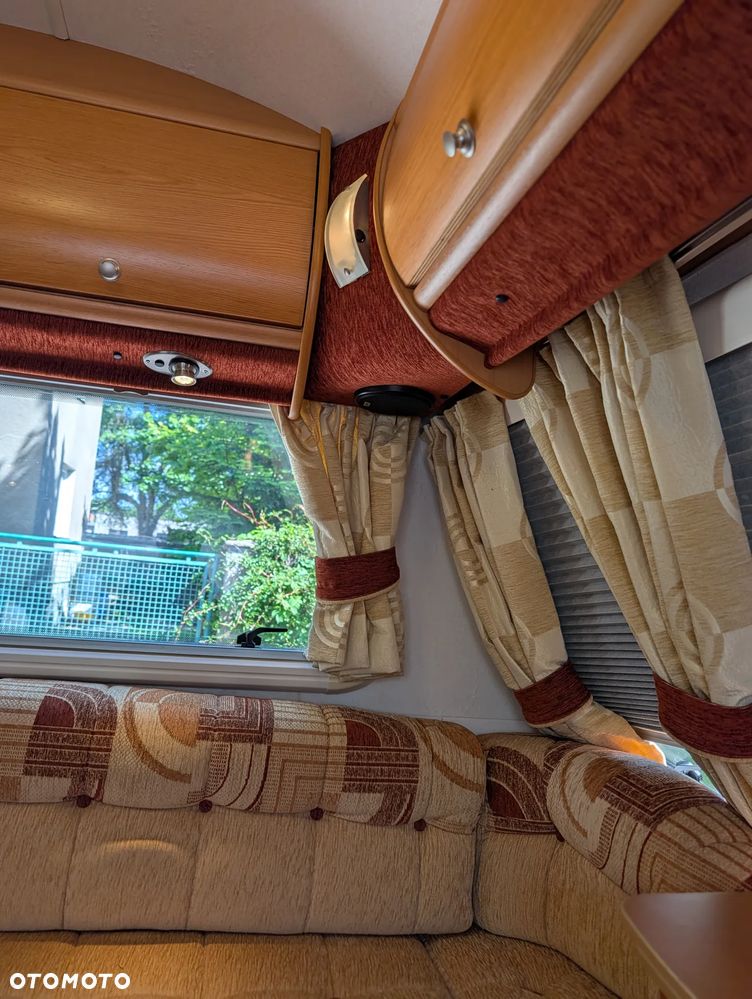 Avondale Golden Avocet - 29