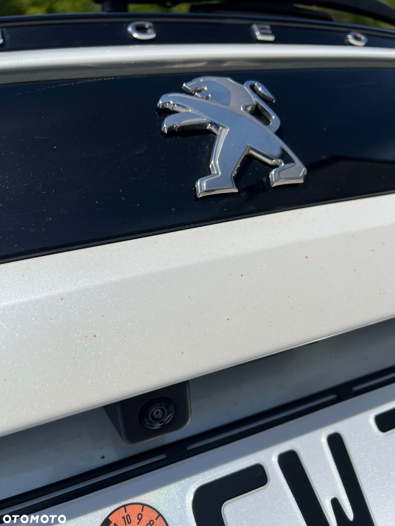 Peugeot 508 SW Plug-In Hybrid 225 e-EAT8 GT - 19