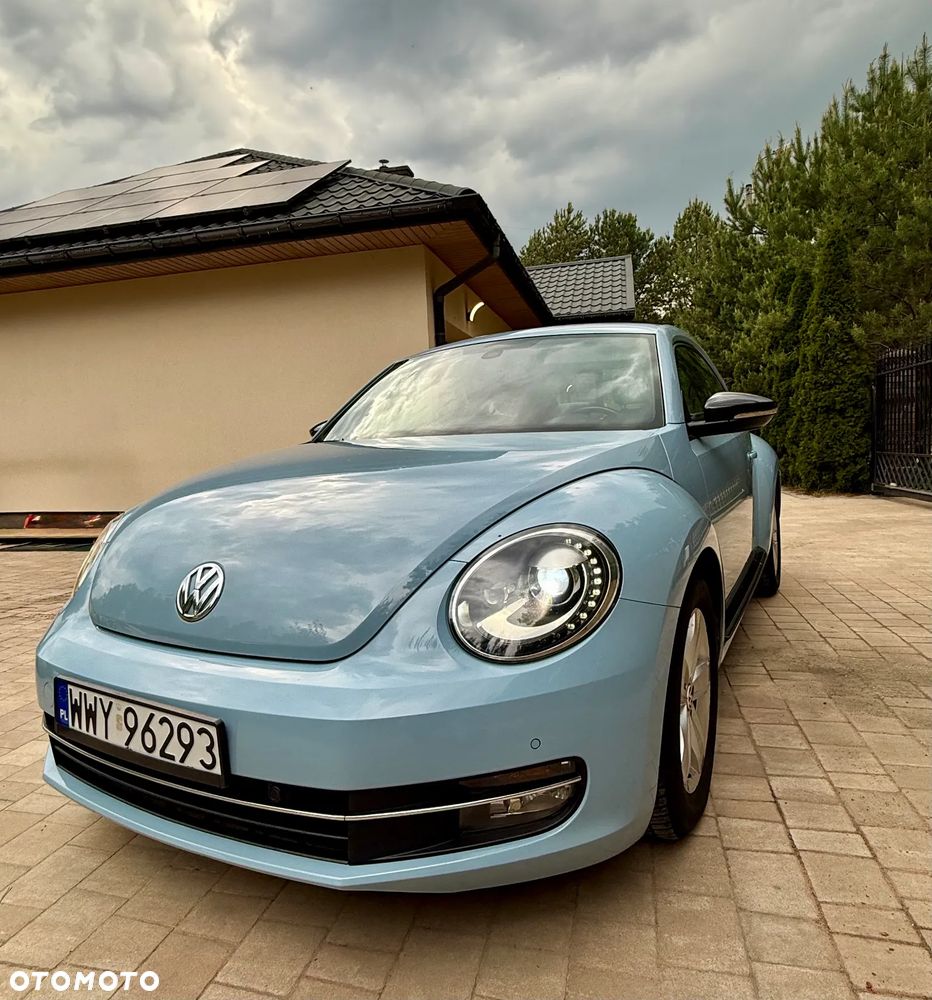 Volkswagen Beetle - 7