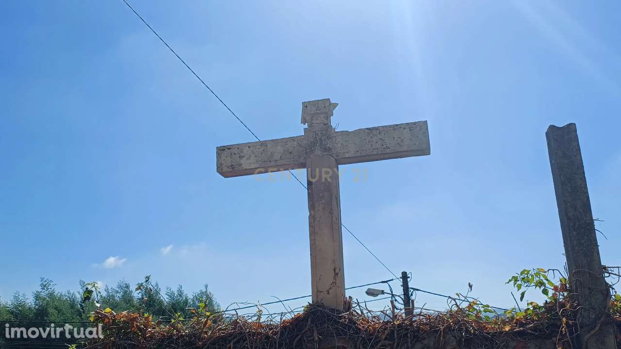 Vendo Quinta em Coimbra - Grande imagem: 5/40