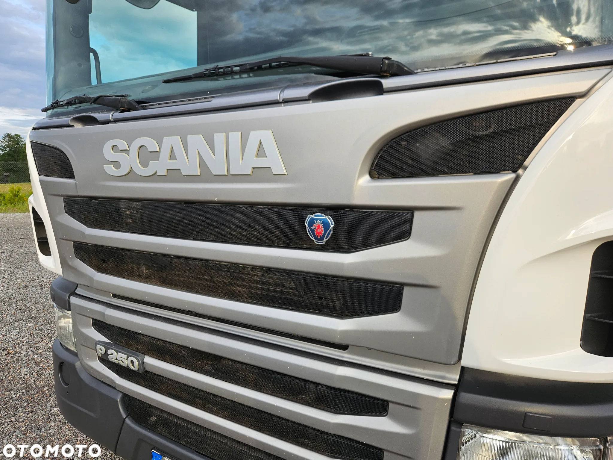Scania P 250 - 14