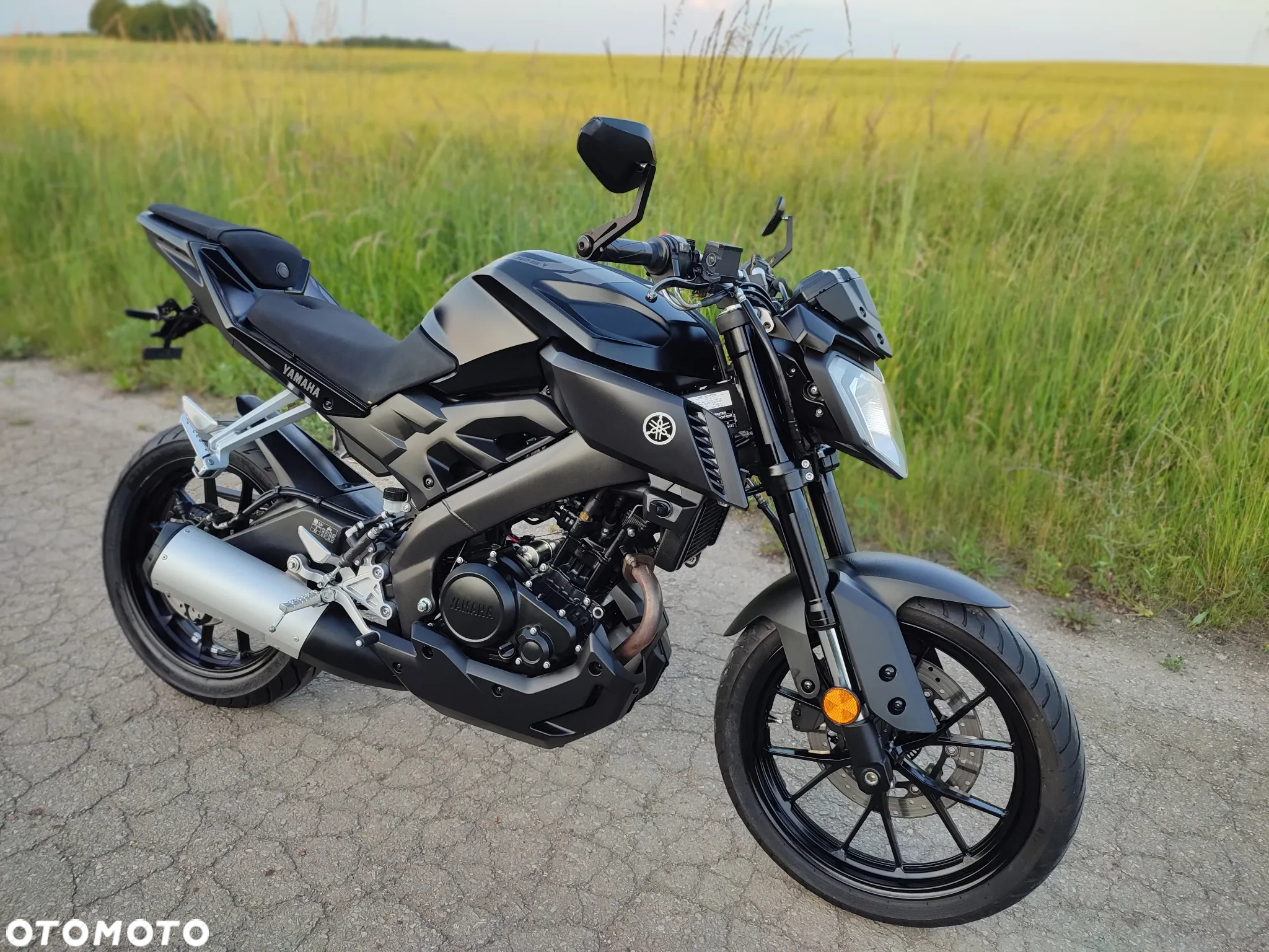 Yamaha MT - 31