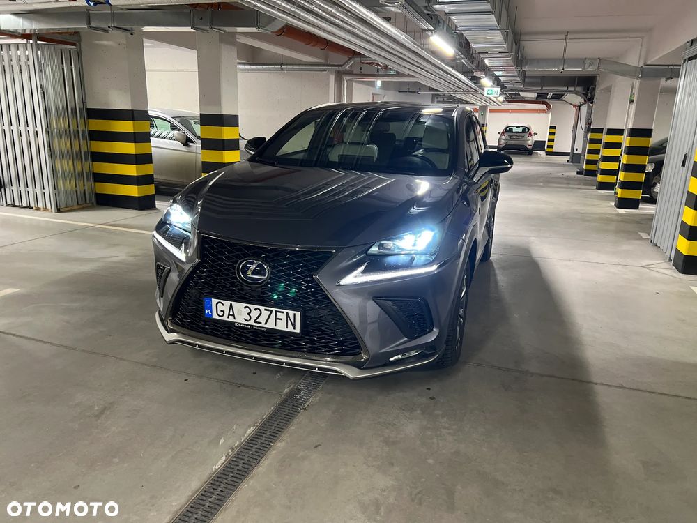 Lexus NX 300h F Sport AWD - 15