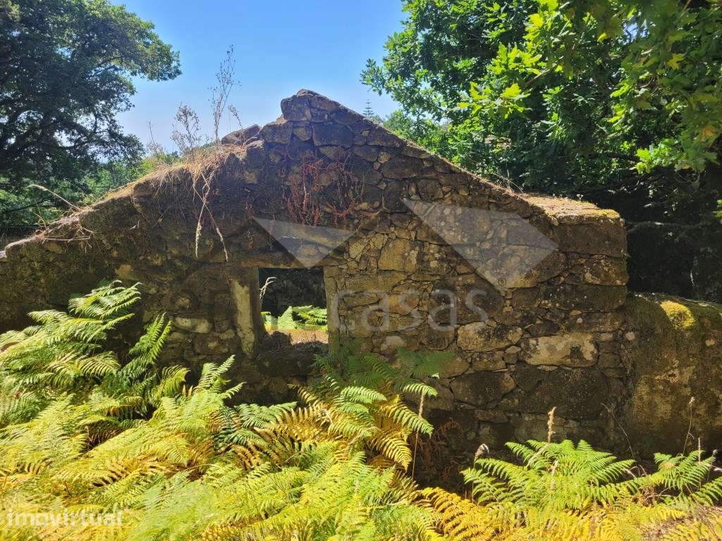 Casa em Ruínas - Refúgio Único em Plena Natureza - Grande imagem: 2/12