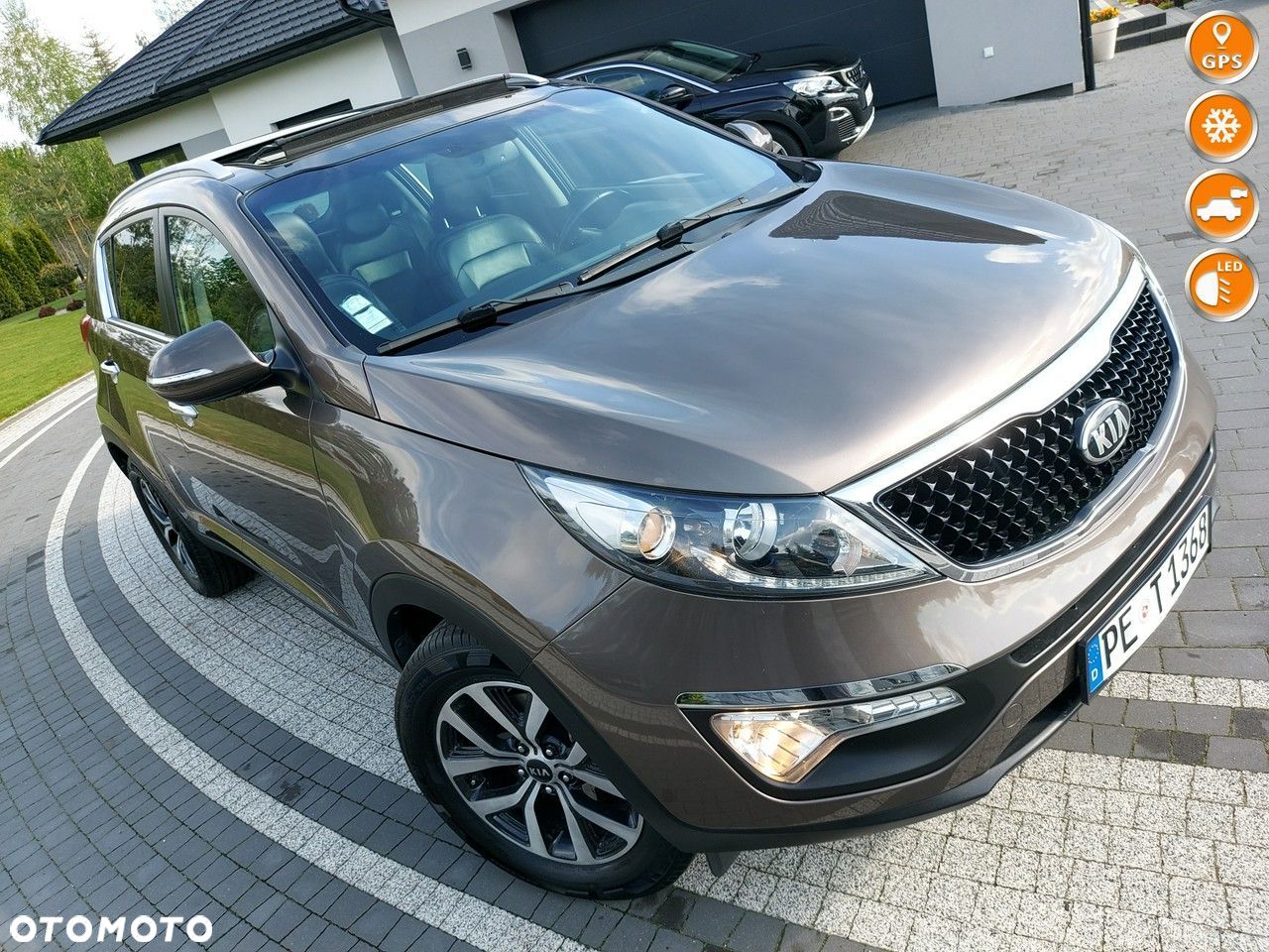 Kia Sportage - 1