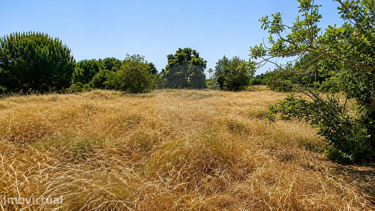 Terreno  para venda - Grande imagem: 3/5