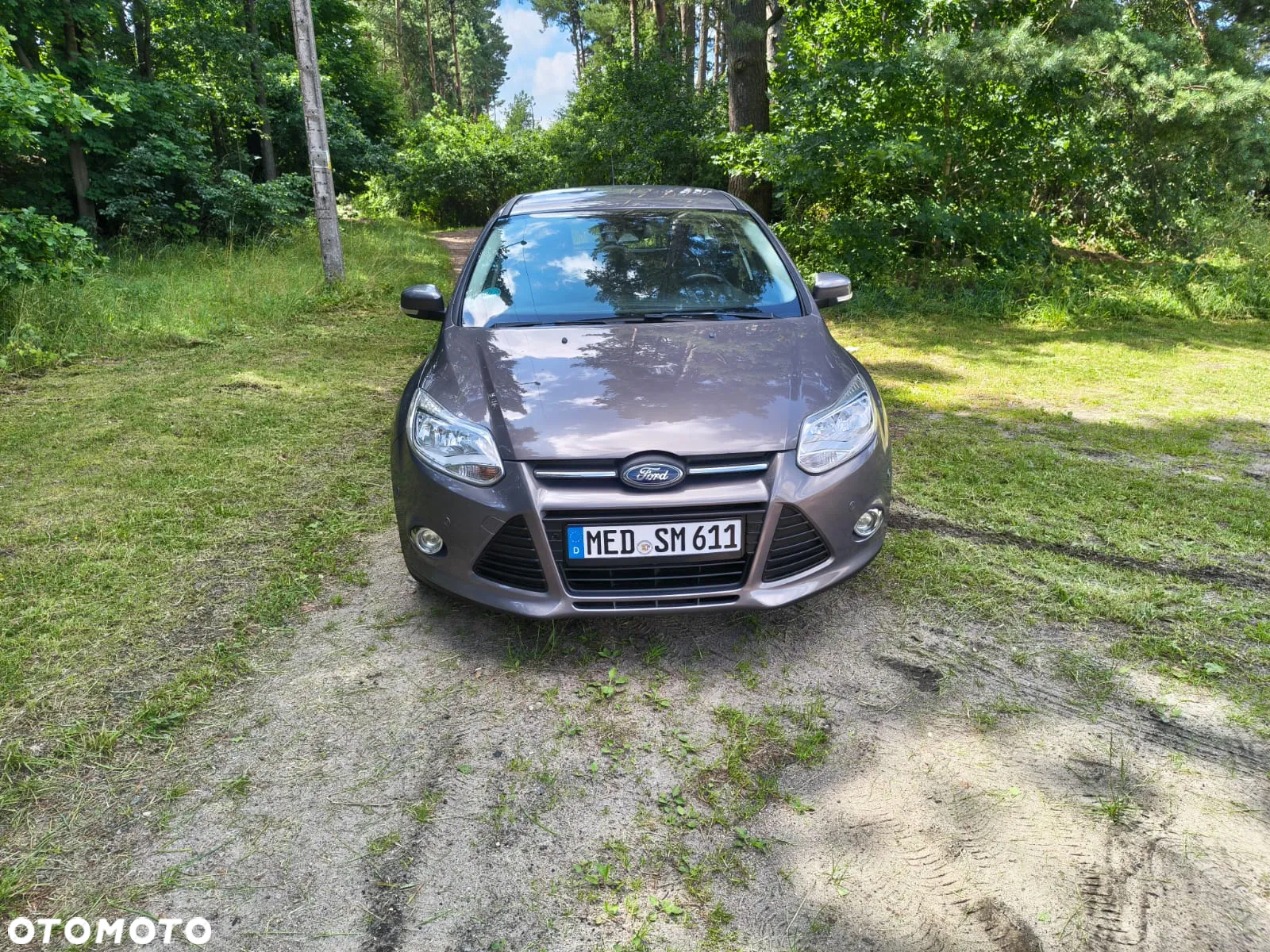 Ford Focus - 12