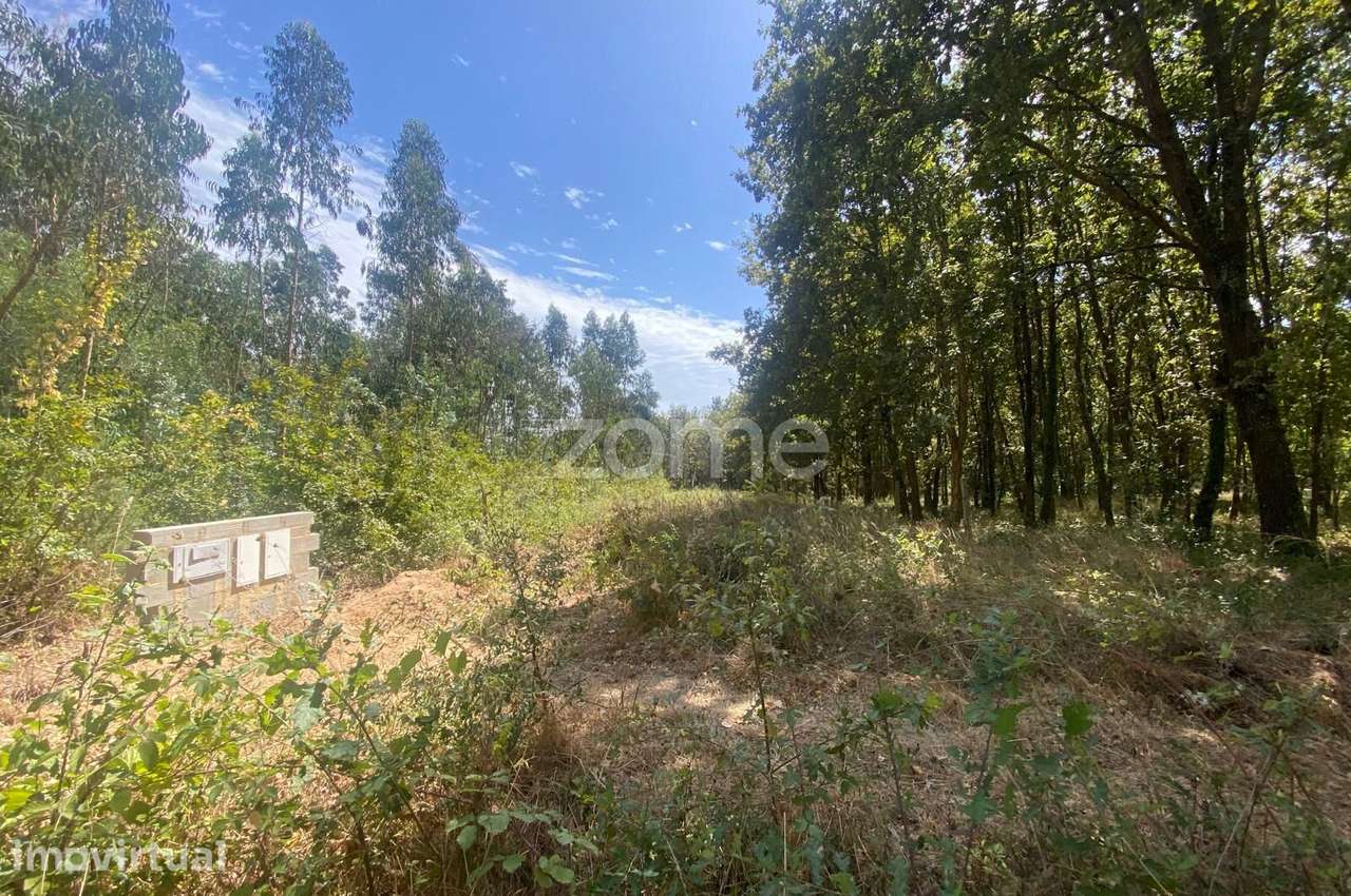 Terreno urbano com 1.018 m² em zona tranquila – Barrô, Águeda - Grande imagem: 4/15