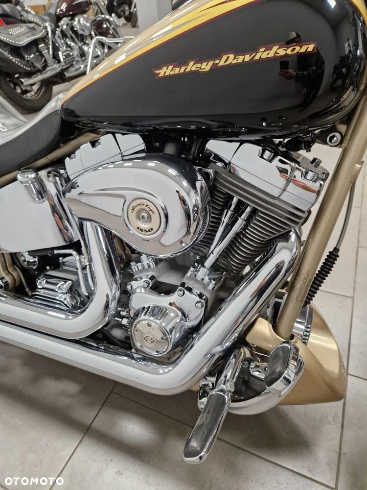 Harley-Davidson Softail Custom - 6