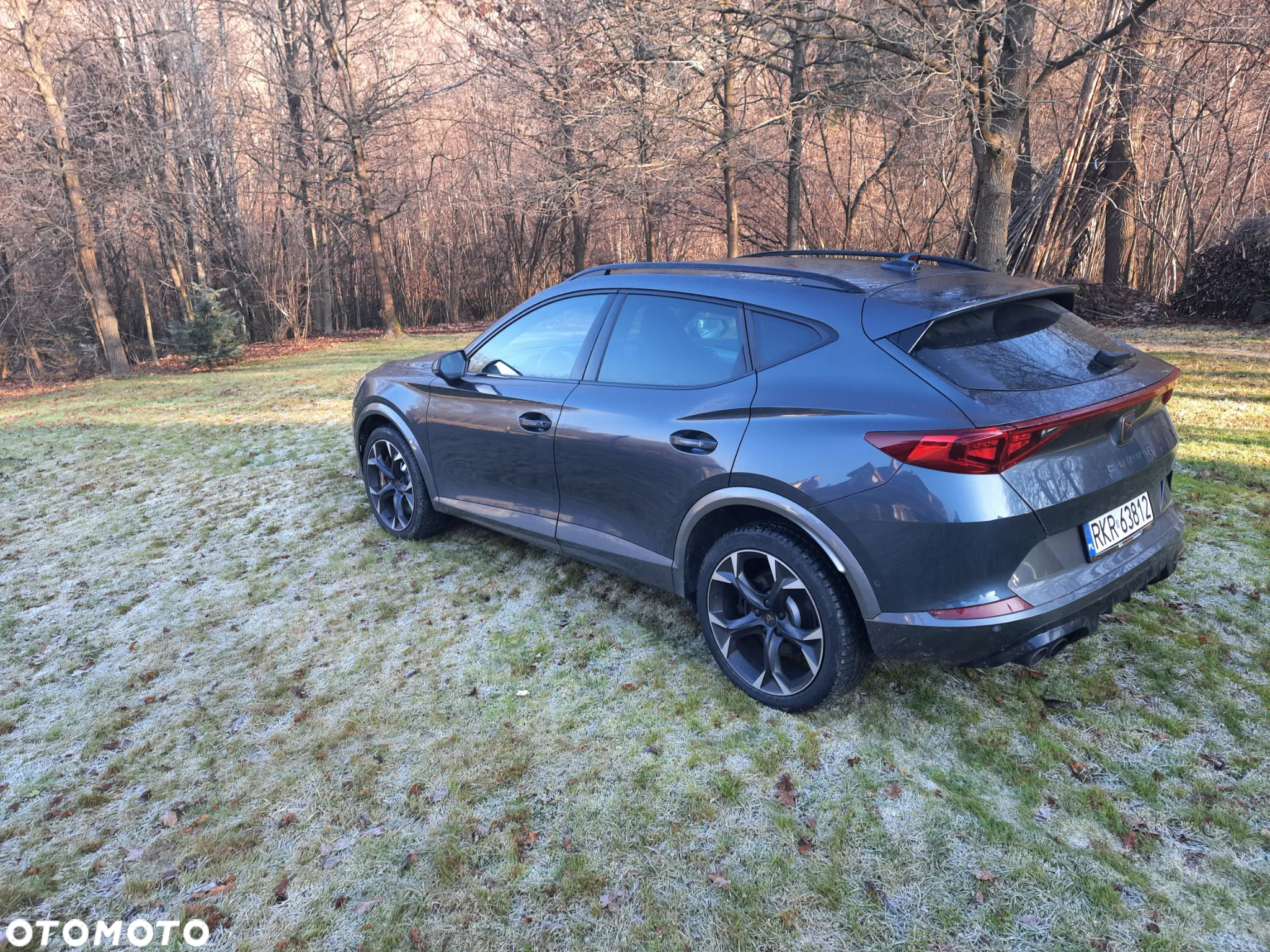 Cupra Formentor VZ 2.0 TSI 4Drive DSG - 11