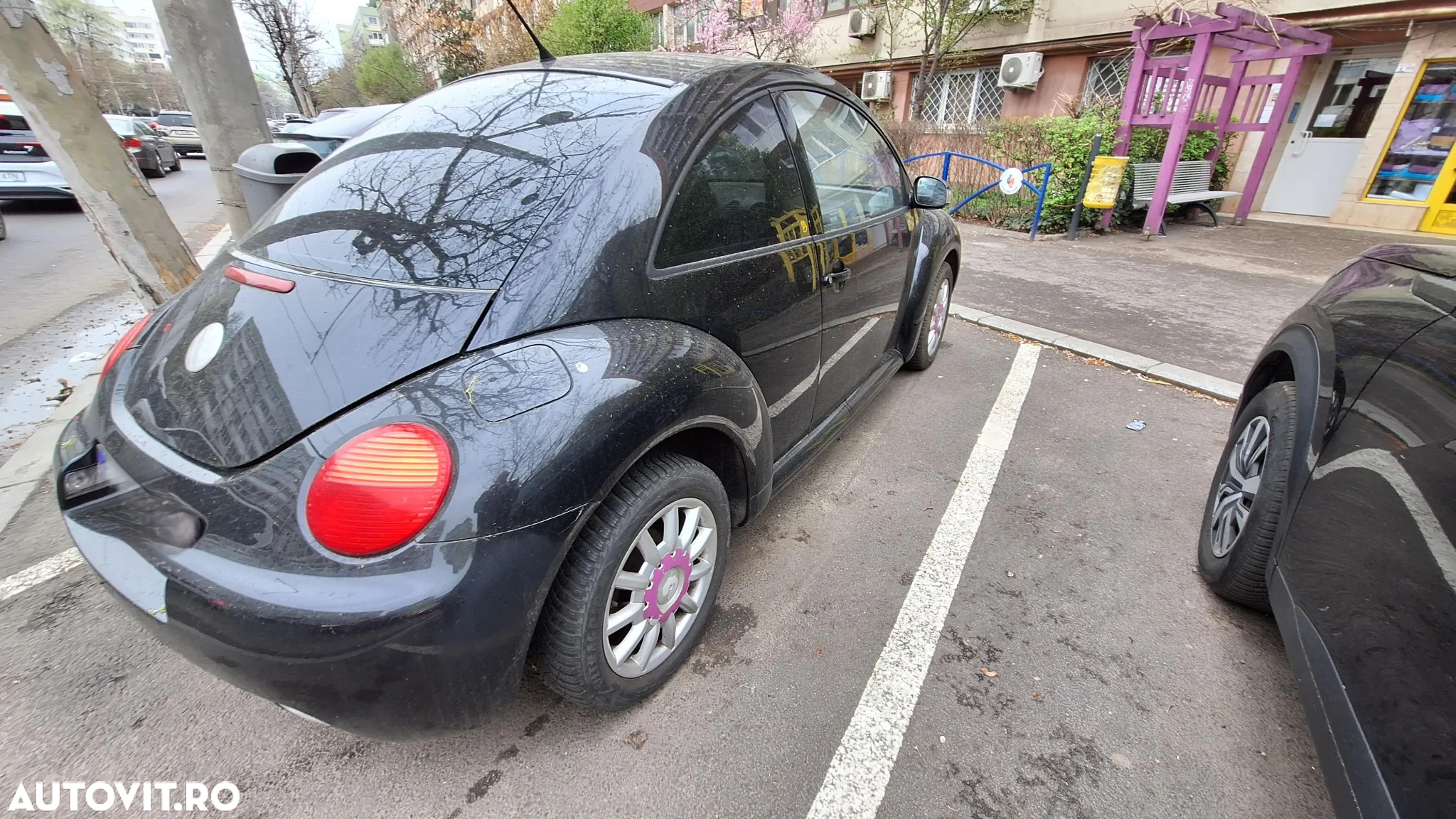 Volkswagen Beetle - 10