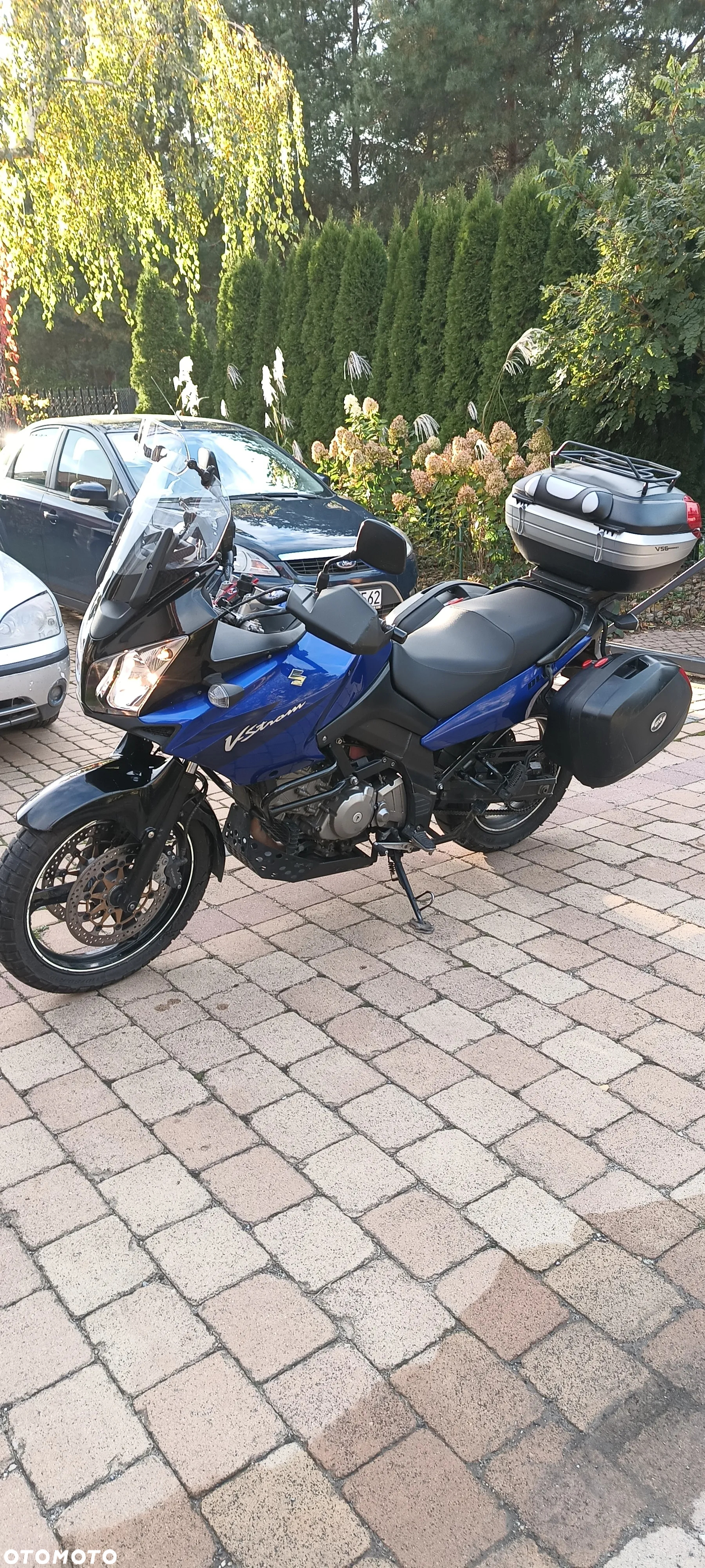 Suzuki DL