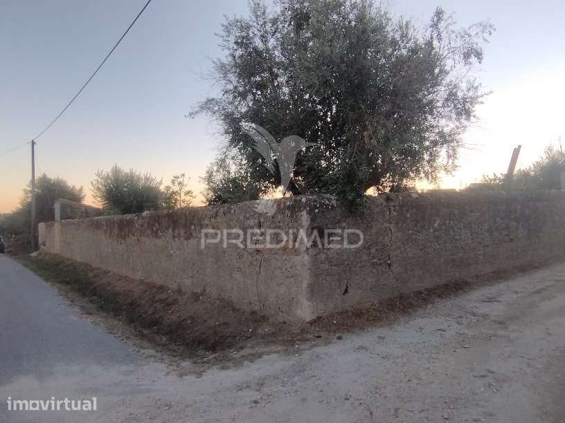 Terreno - Grande imagem: 3/20