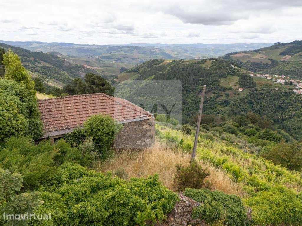 Propriedade com Vinha, Oliveiras, Três Edificações e Água Própria - Grande imagem: 5/15