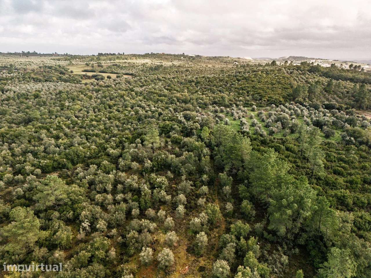 Terreno de 5,5 ha à Venda no Alentejo com Projeto Turístico Aprovado | - Grande imagem: 4/9