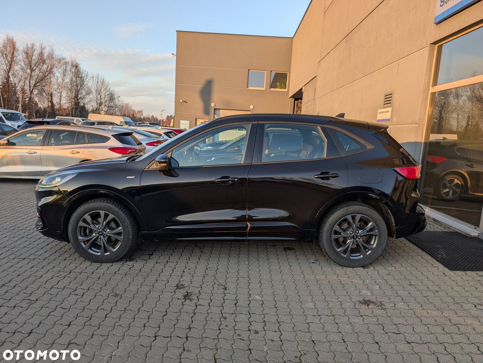 Ford Kuga 2.0 EcoBlue AWD ST-Line - 6