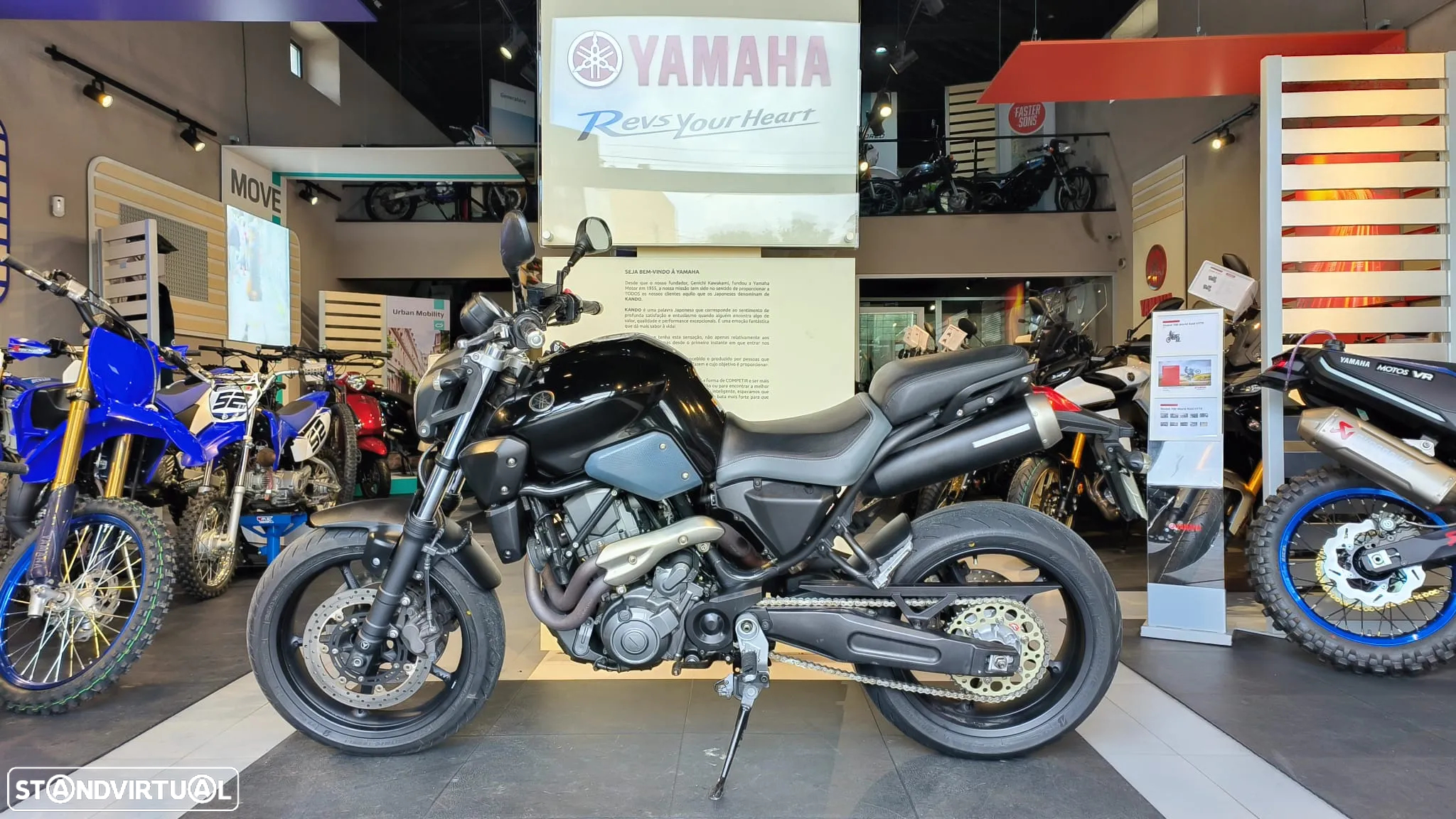 Yamaha MT-03 660cc - 11