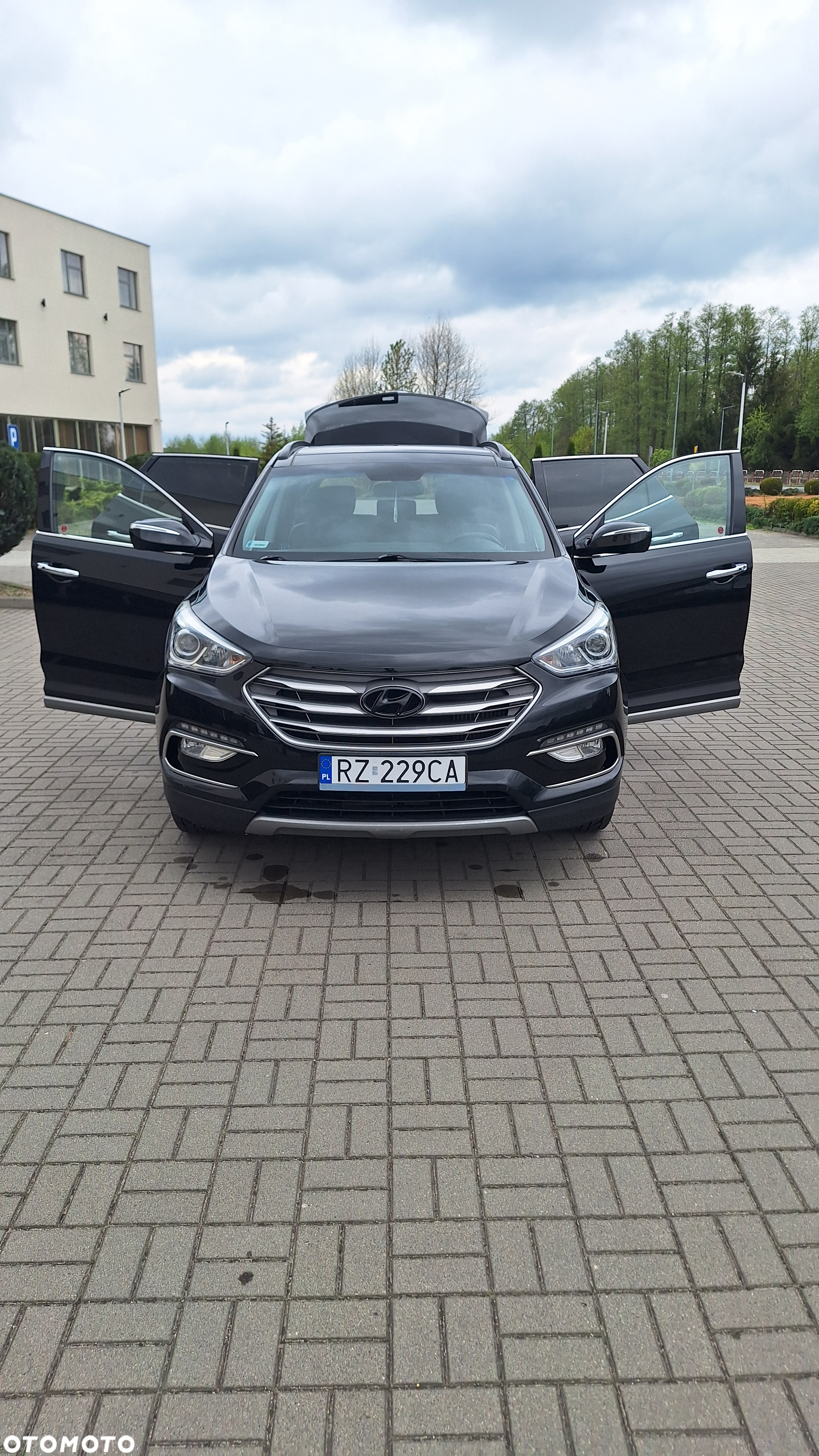 Hyundai Santa Fe - 13