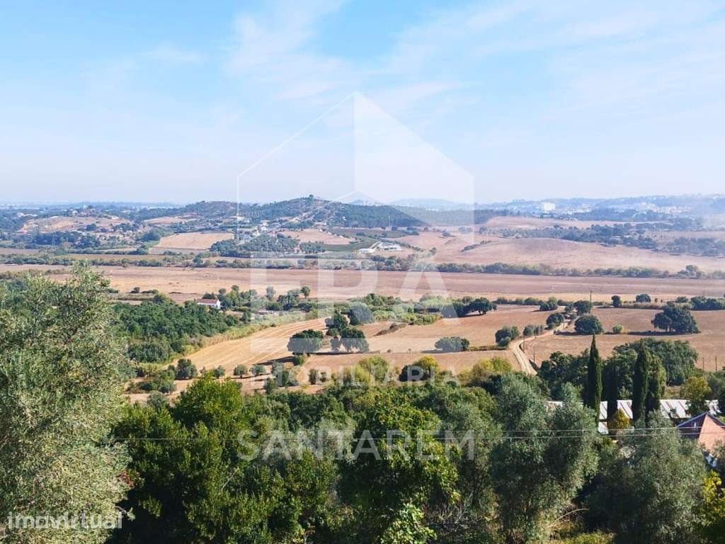 Armazém e atividade industrial na Póvoa da Isenta - Grande imagem: 2/8