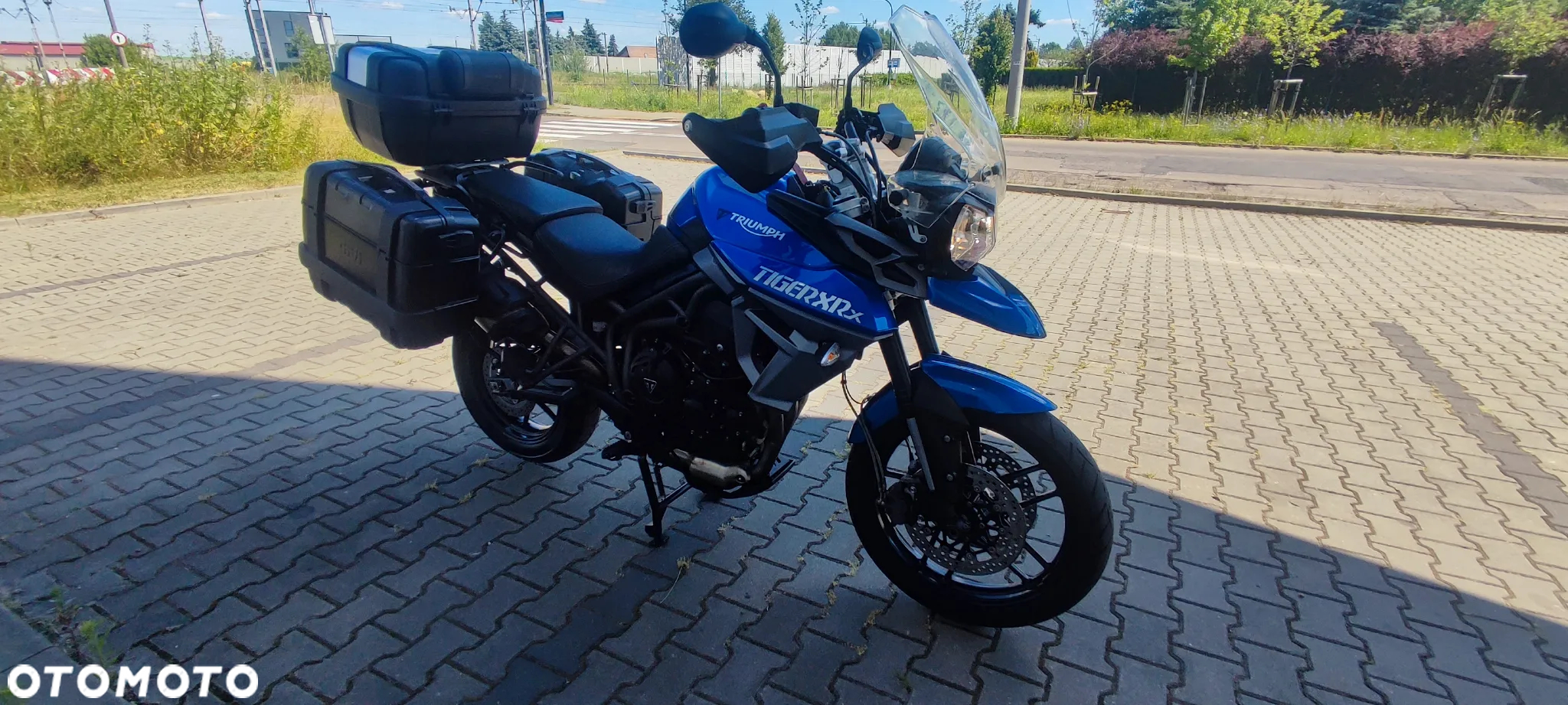 Triumph Tiger - 6
