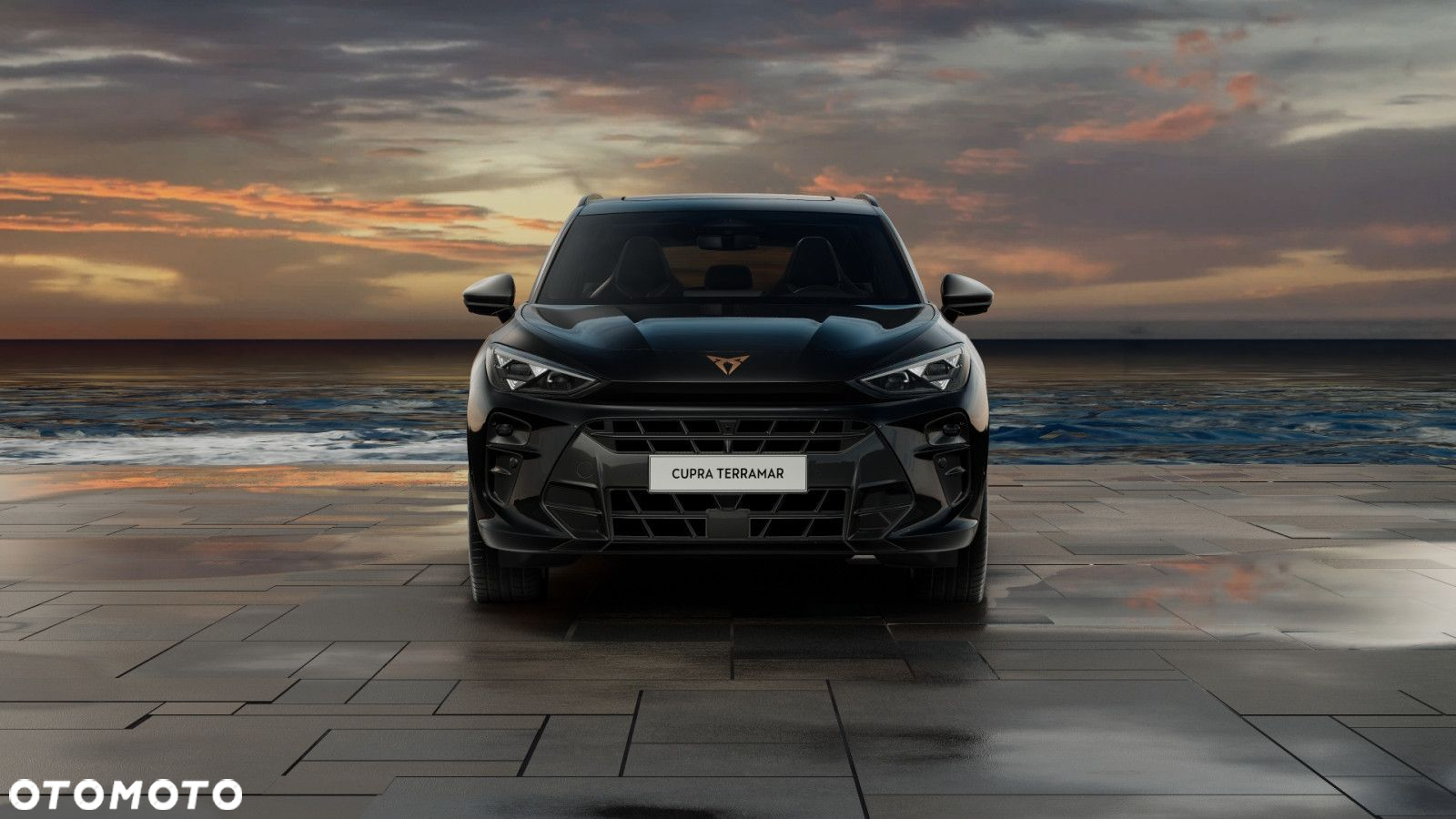 Cupra Terramar - 7