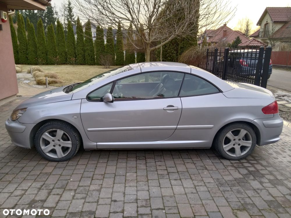 Peugeot 307 CC - 15