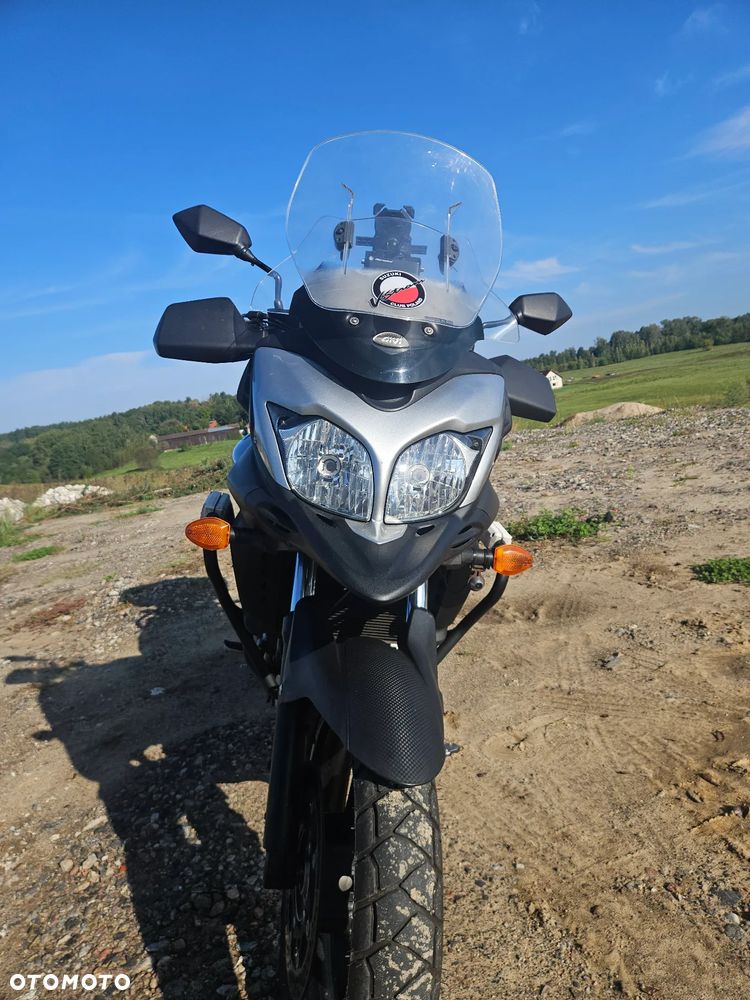 Suzuki DL - 11