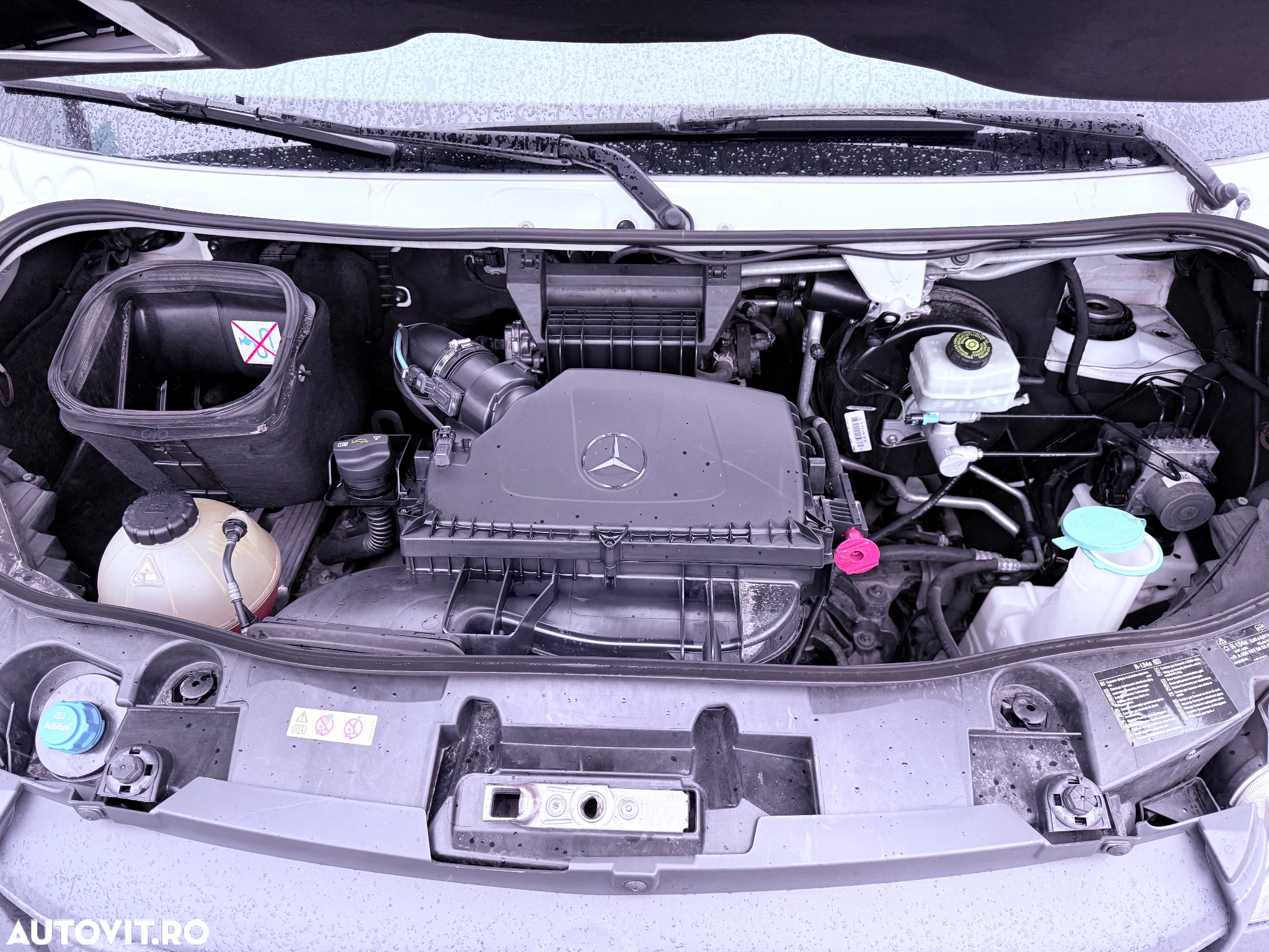 Mercedes-Benz Sprinter 311 CDI 906.231 BlueEFFICIENCY - 24
