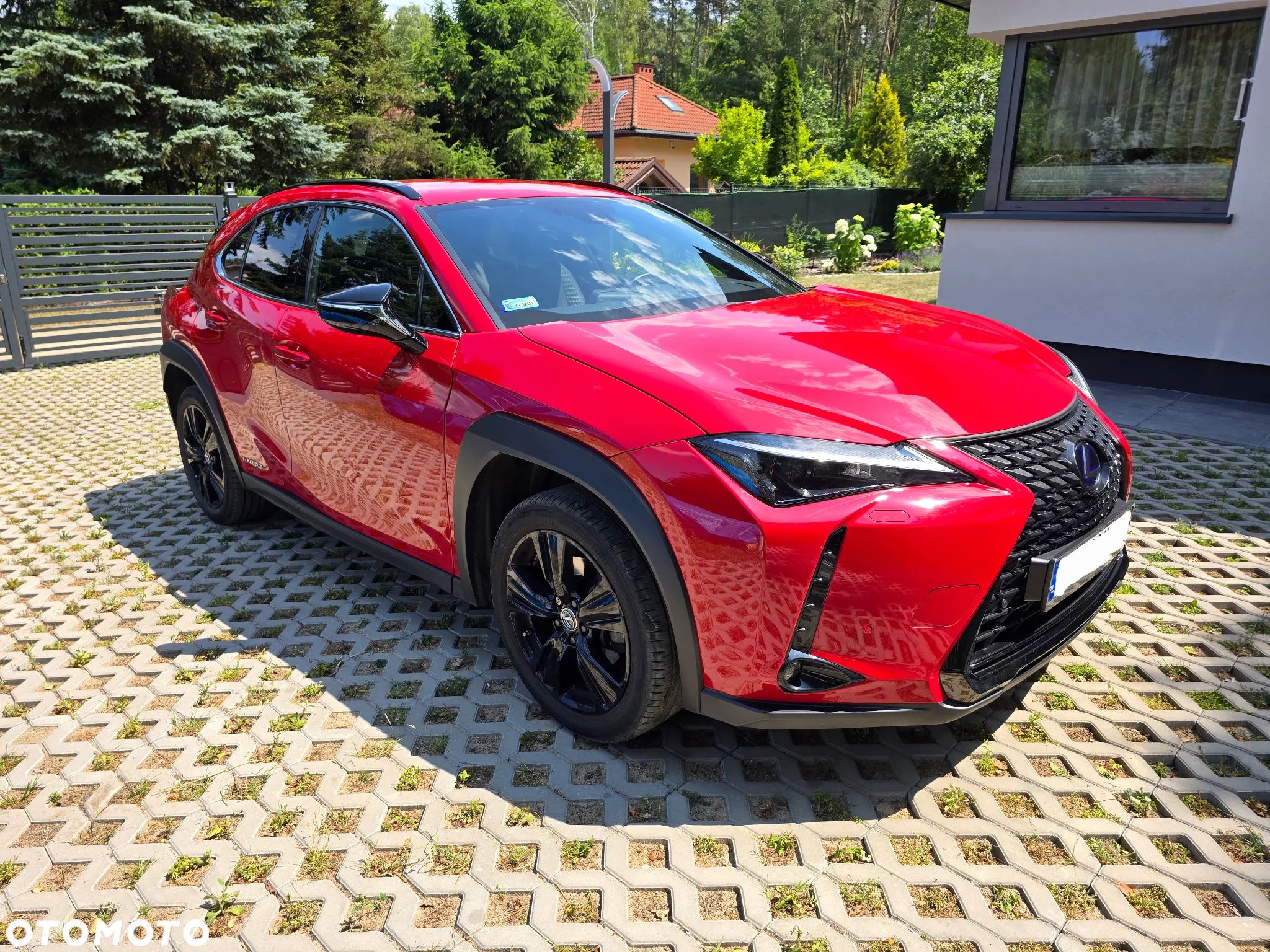 Lexus UX 250h GPF F Impression 2WD - 1