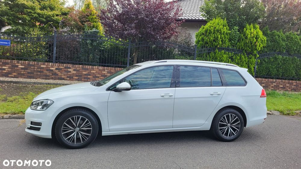 Volkswagen Golf 1.6 TDI BlueMotion Technology DSG Allstar - 16