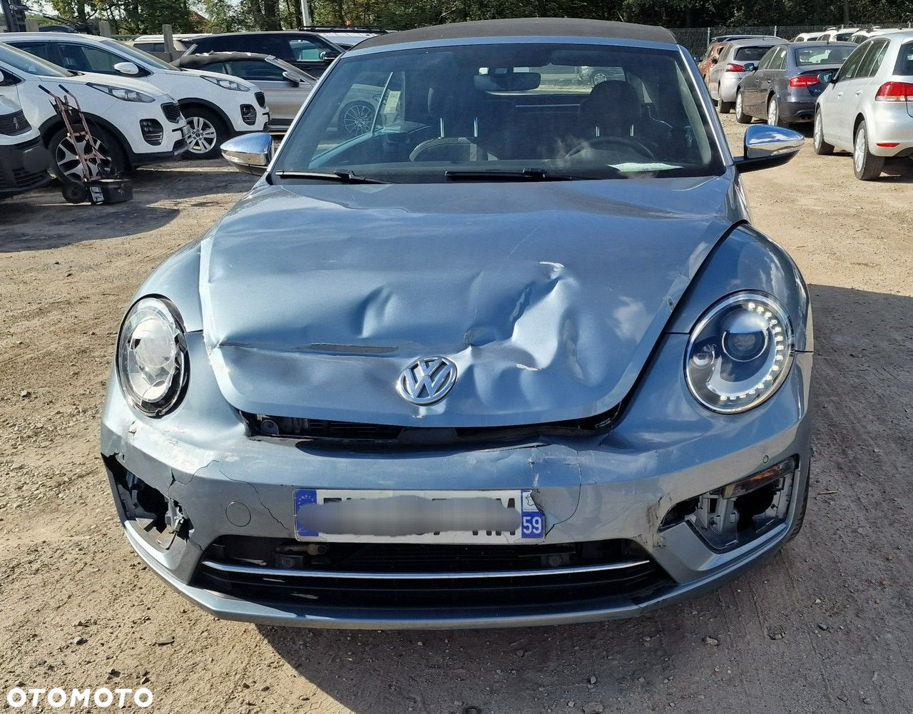 Volkswagen Beetle - 38