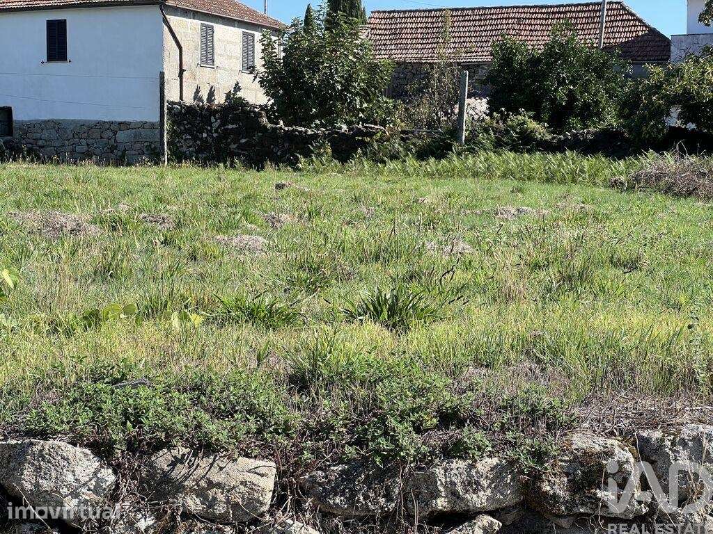 Terreno para construção em Santa Cruz da Trapa e São Cristóvão de Lafõ - Grande imagem: 5/6