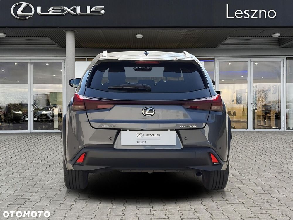 Lexus UX 300h Business - 8