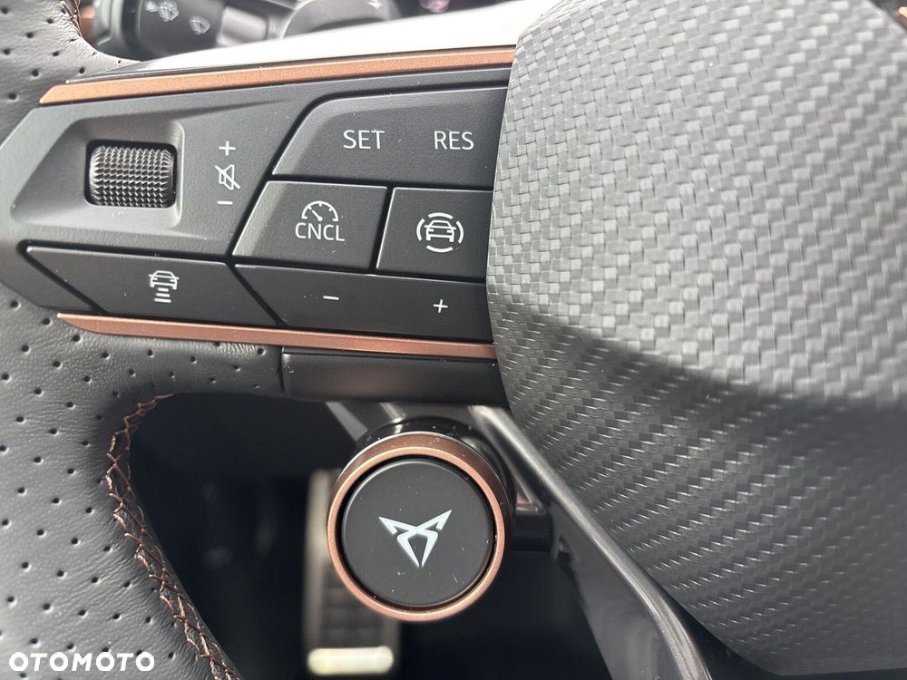 Cupra Terramar 1.5 eTSI mHEV Advantage Edition DSG - 23