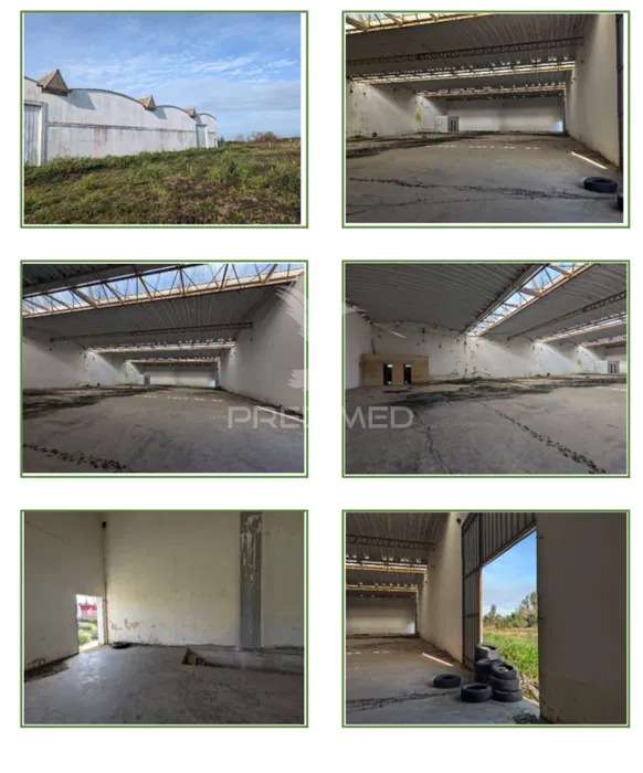 Armazem em Valmaior Albergaria-a-Velha com  2500m2 e 6500m2 de terreno - Grande imagem: 2/7