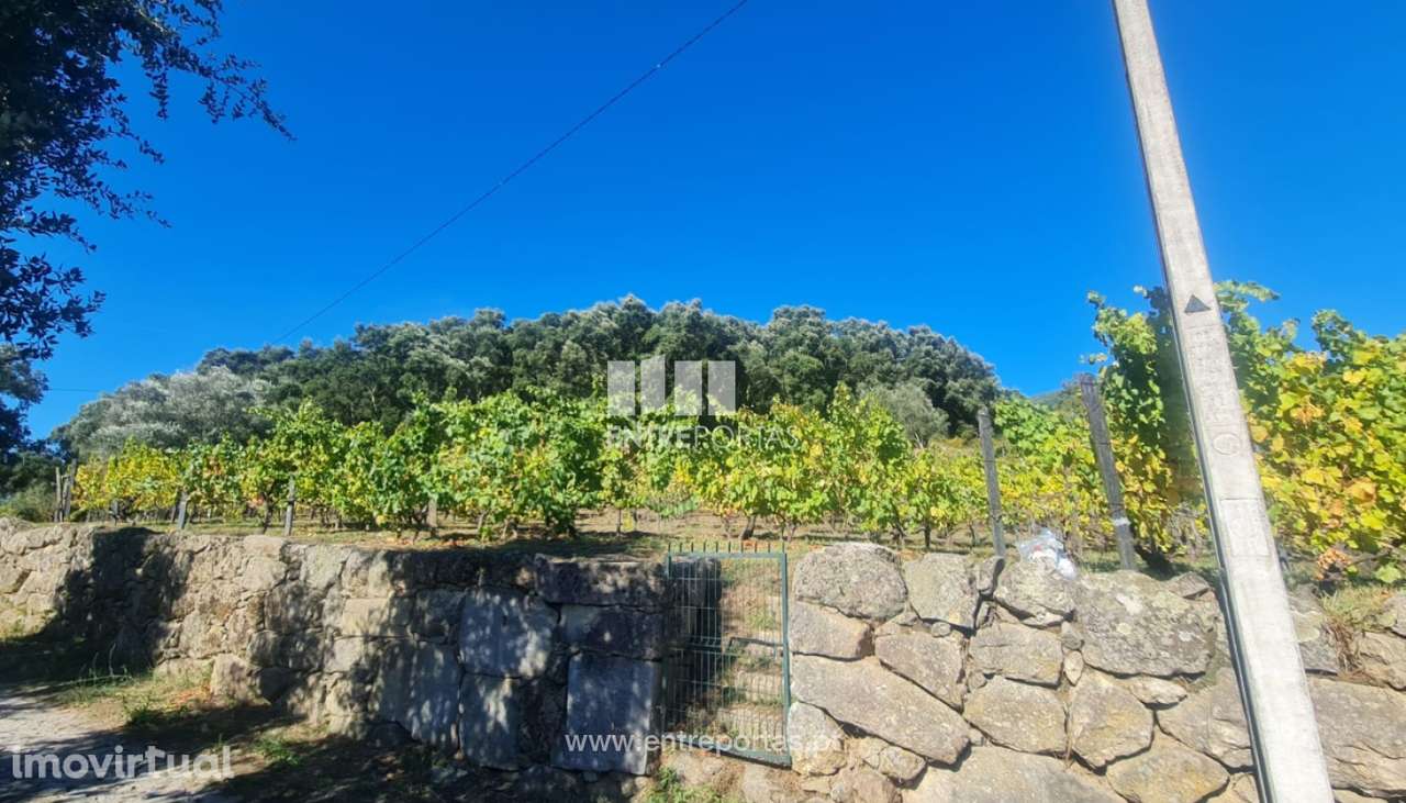 Venda de Terreno, Stª Marinha do Zêzere Baião - Grande imagem: 3/5