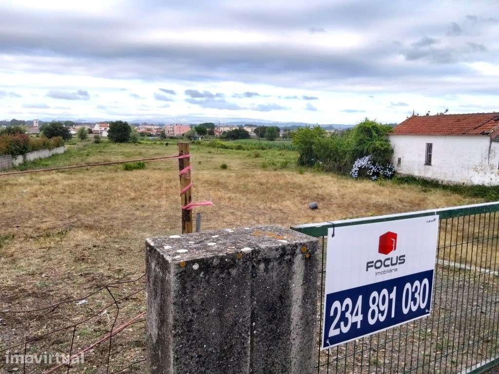 Terreno com 17m de frente - Estarreja - Grande imagem: 4/9