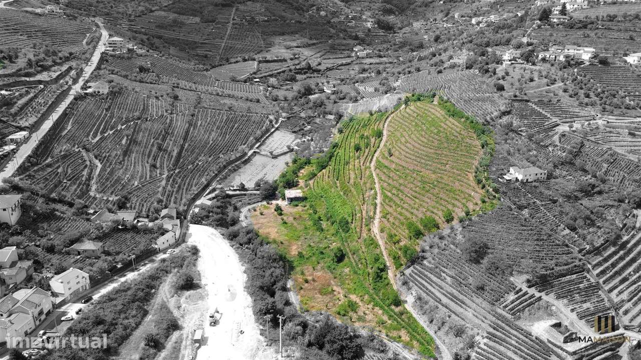 QUINTA DAS LAMAS | + DE 2 HECTARES | DOURO - Grande imagem: 3/8