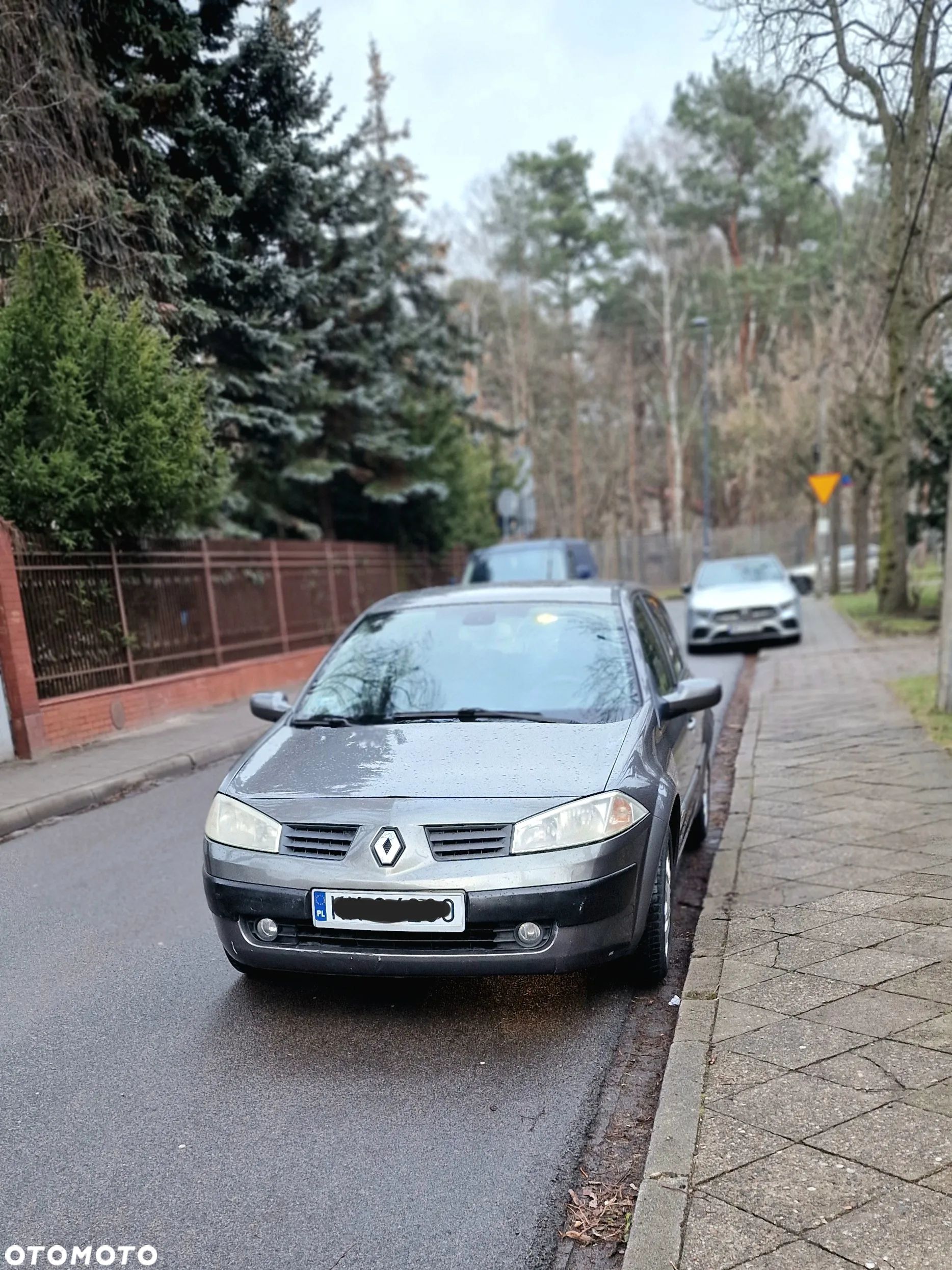 Renault Megane - 1