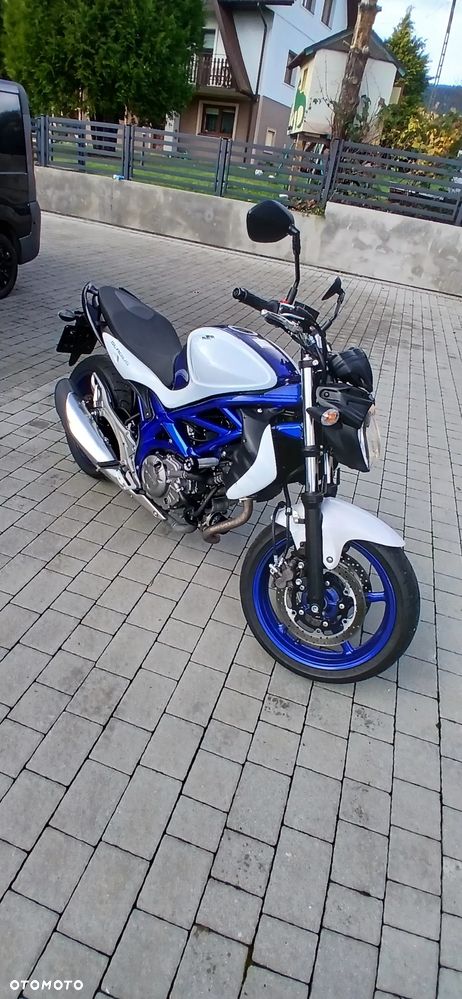 Suzuki Gladius - 1