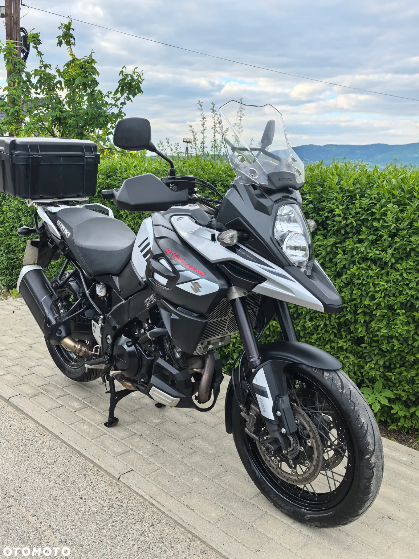 Suzuki DL - 7