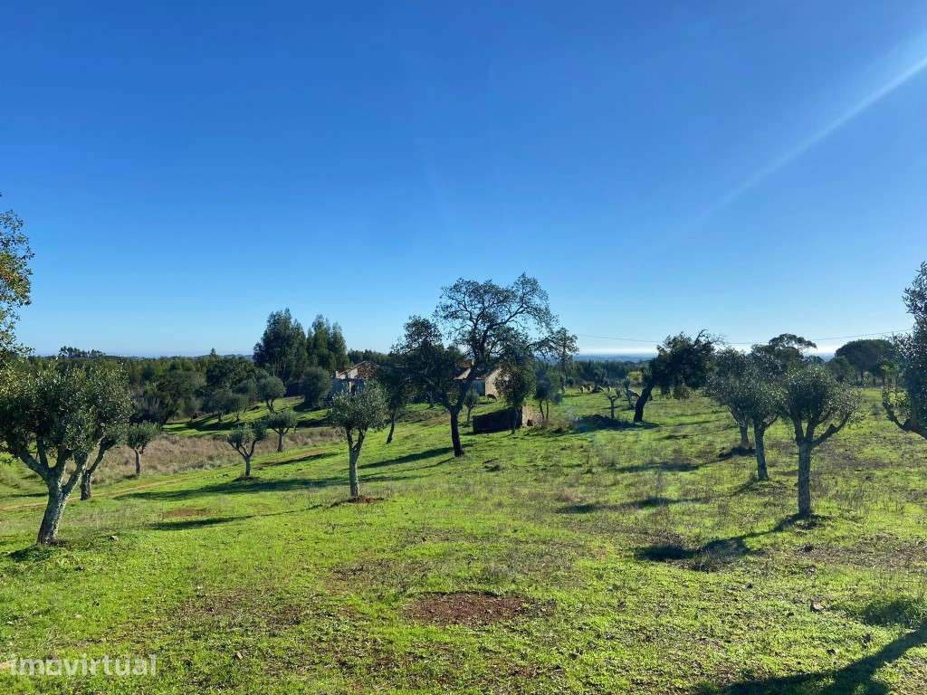 Quinta para recuperar na Serra de Grândola - Grande imagem: 3/16