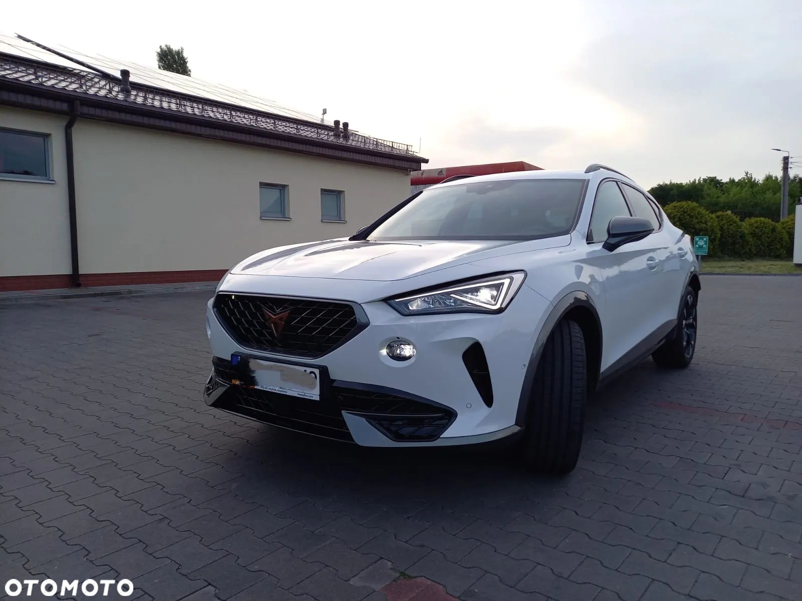 Cupra Formentor 1.5 TSI DSG - 1