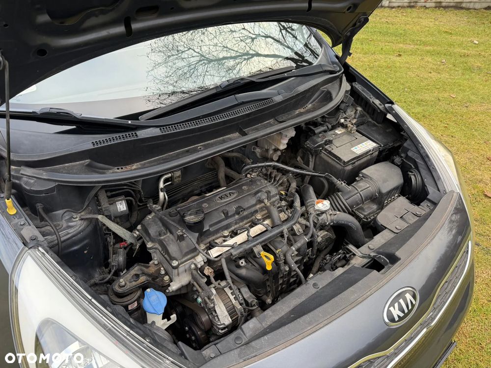 Kia Rio - 16
